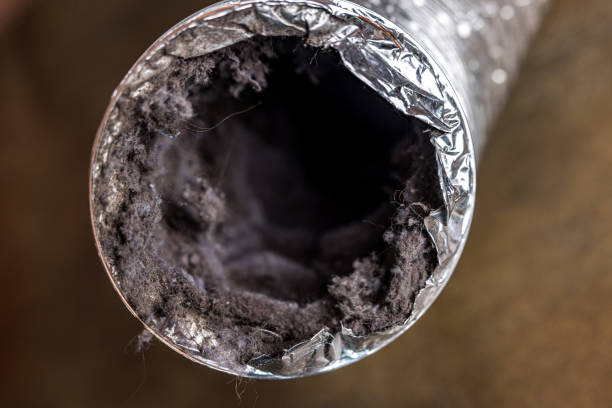 Air Duct Mold Removal in WI
