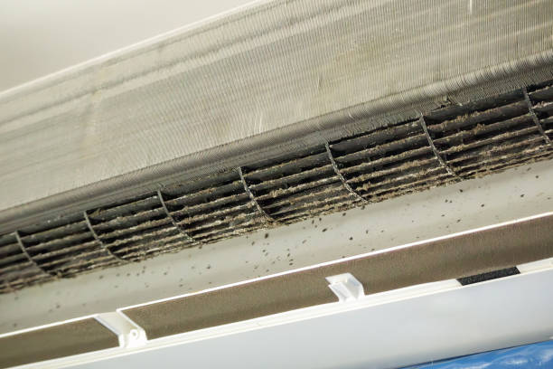 Best Commercial HVAC Duct Cleaning  in Dane, WI